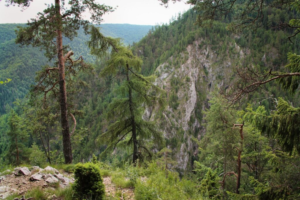 słowacki raj