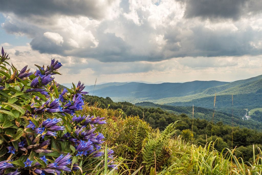 Bieszczady
